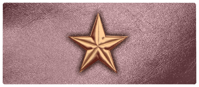 DNSEMP-L-430-CP-OR Star Copper-Orchid